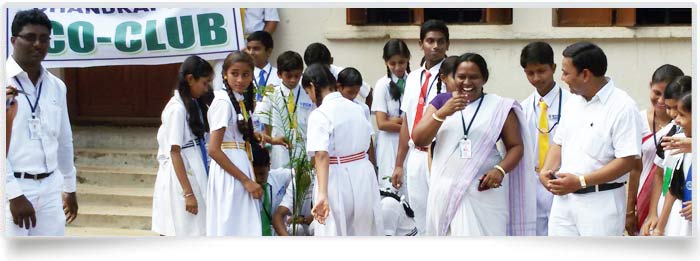 tree plantation